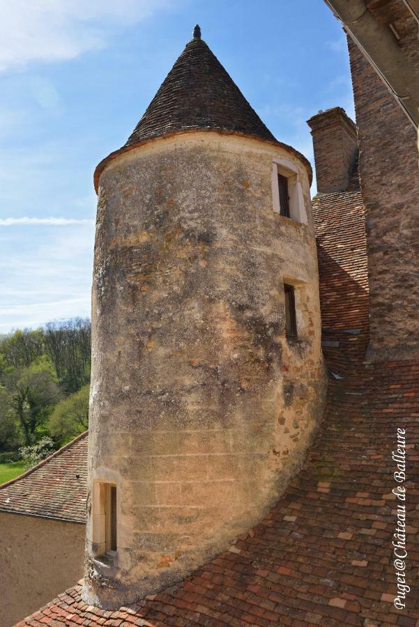 Chateau De Balleure Etrigny Exterior foto